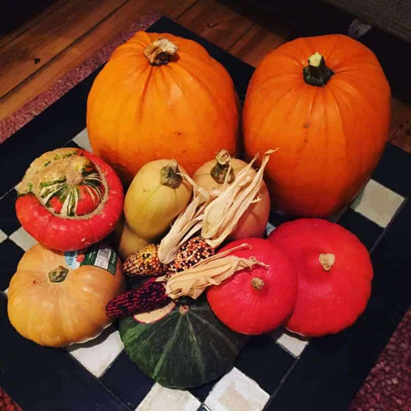 Courges