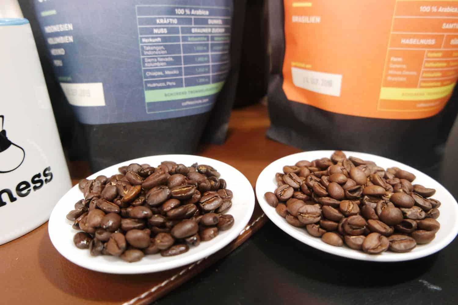 Comparativa de granos de expreso Coffee Circle Cerrado y Gayo