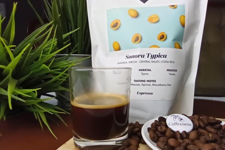 19grams Sonora Typica Espresso