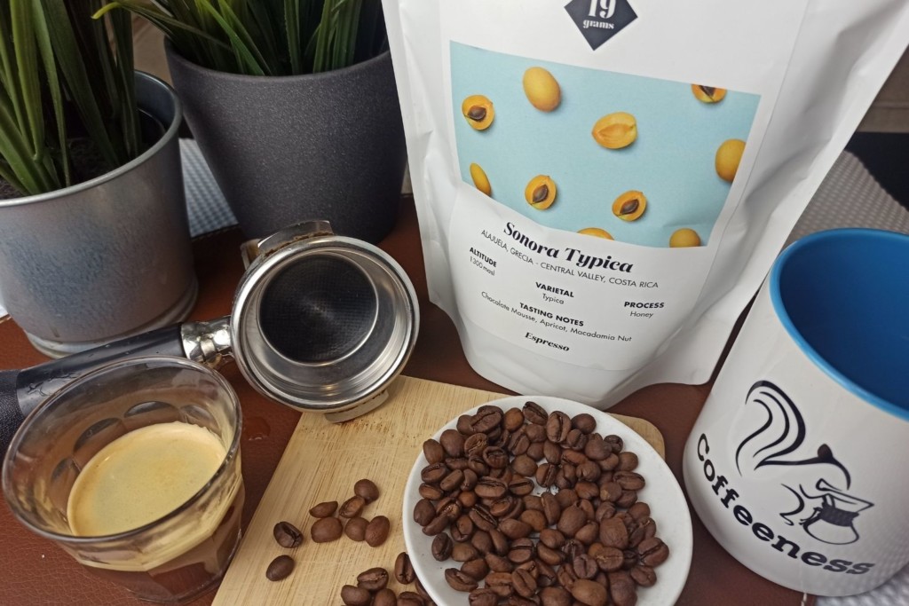 Espressotest 19grams Sonora Title