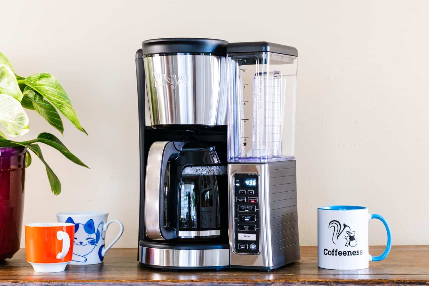 Coffee Makers & Electric Kettles - Ninja® Kitchen