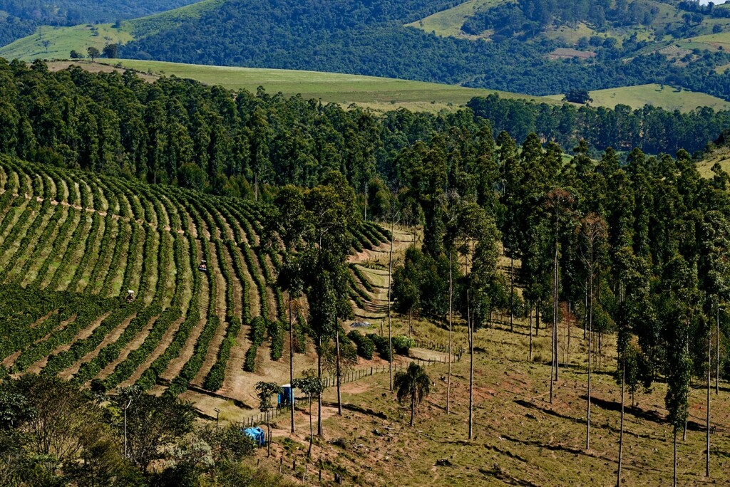 Vista panorámica de la finca cafetera de Brasil