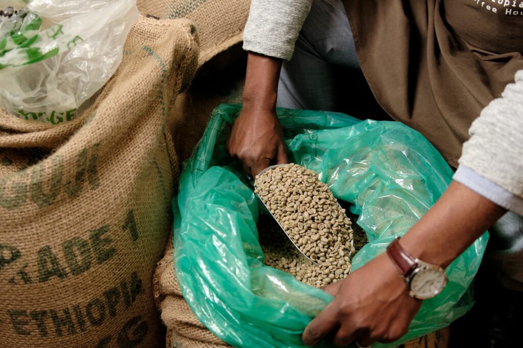 Ethiopian Green