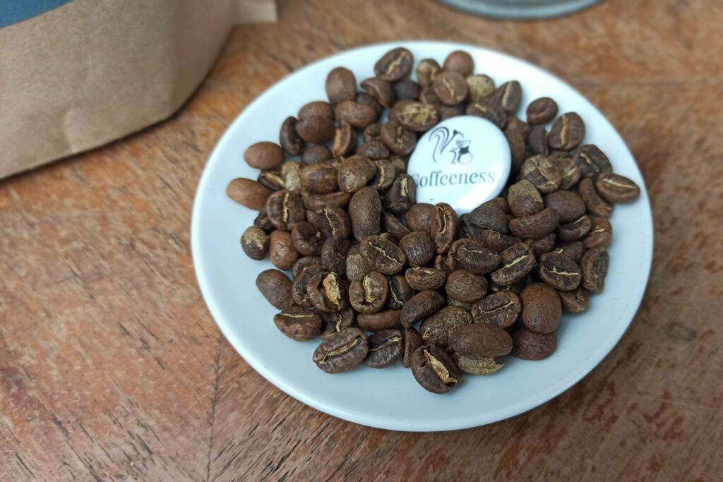 Kaffeebohnen Test Elephant Beans Bohnenbild close