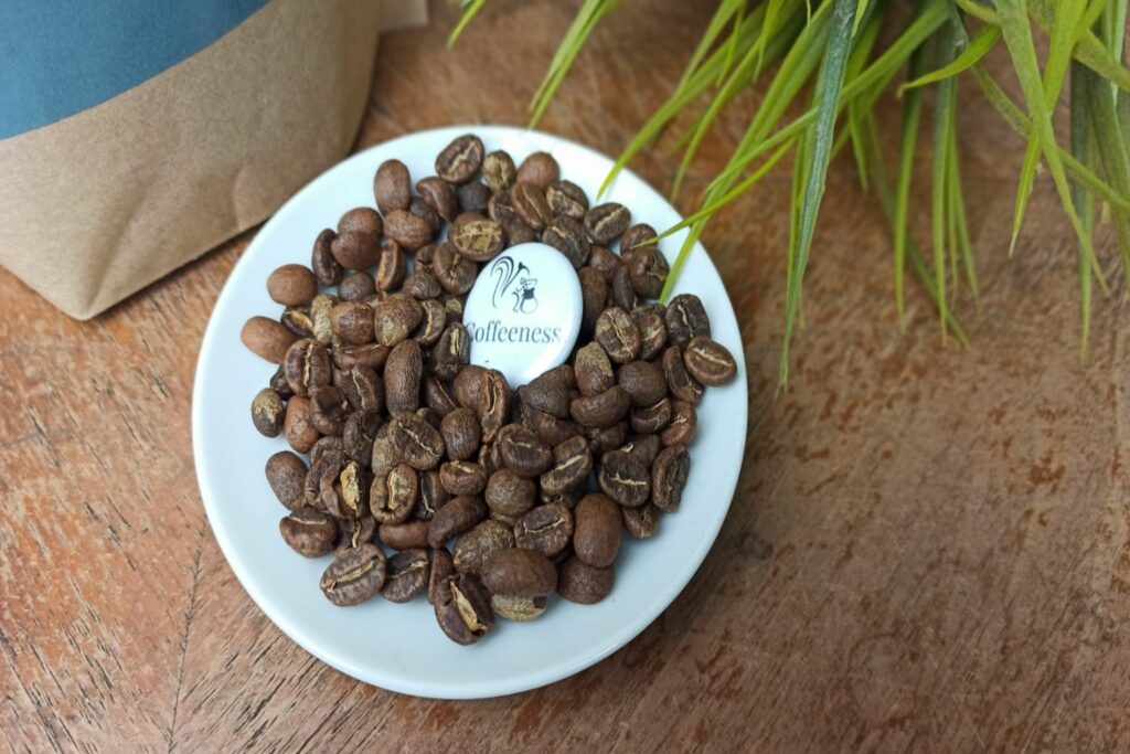 Kaffeebohnen Test Elephant Beans Bohnenbild close 2