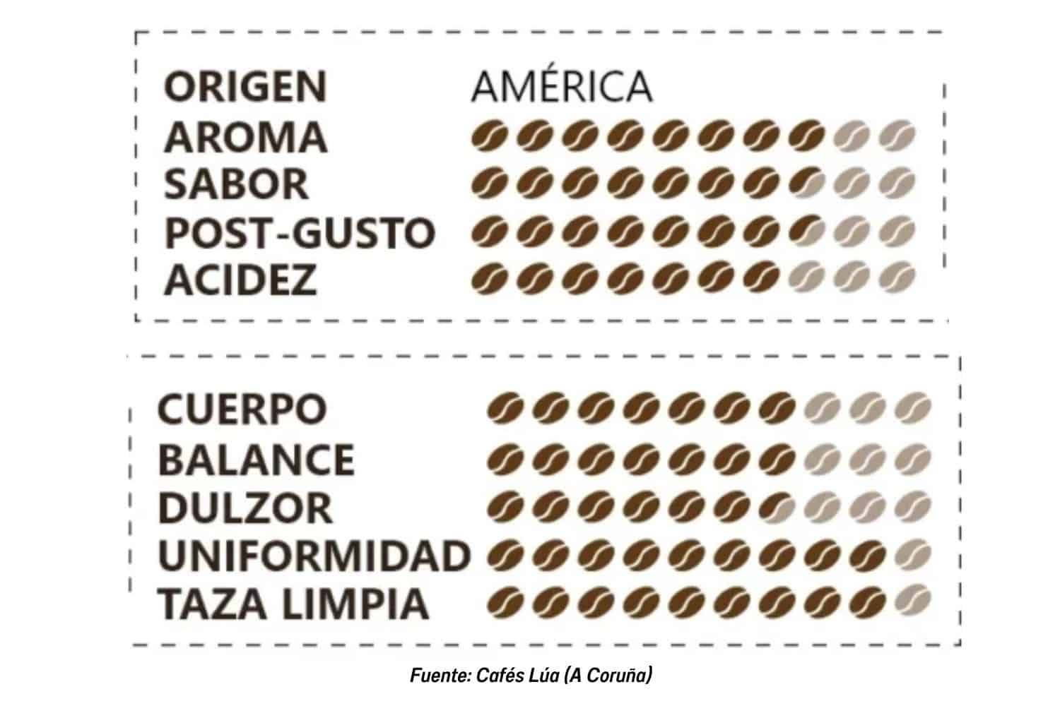 Escala de granos de Cafés Lúa para describir la intensidad, el cuerpo, la acidez...