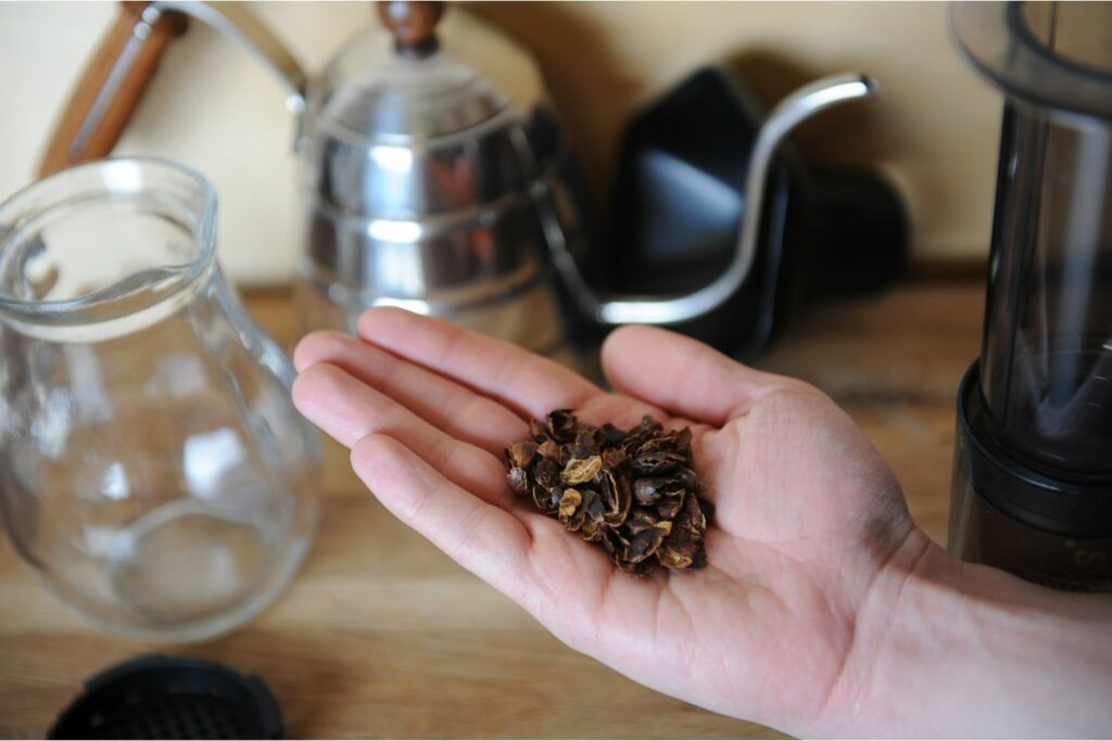 Handful of Cascara