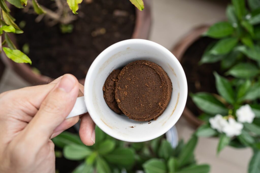 Kaffeesatz als Dnger: Anleitung fr Pflanzen & Kompost