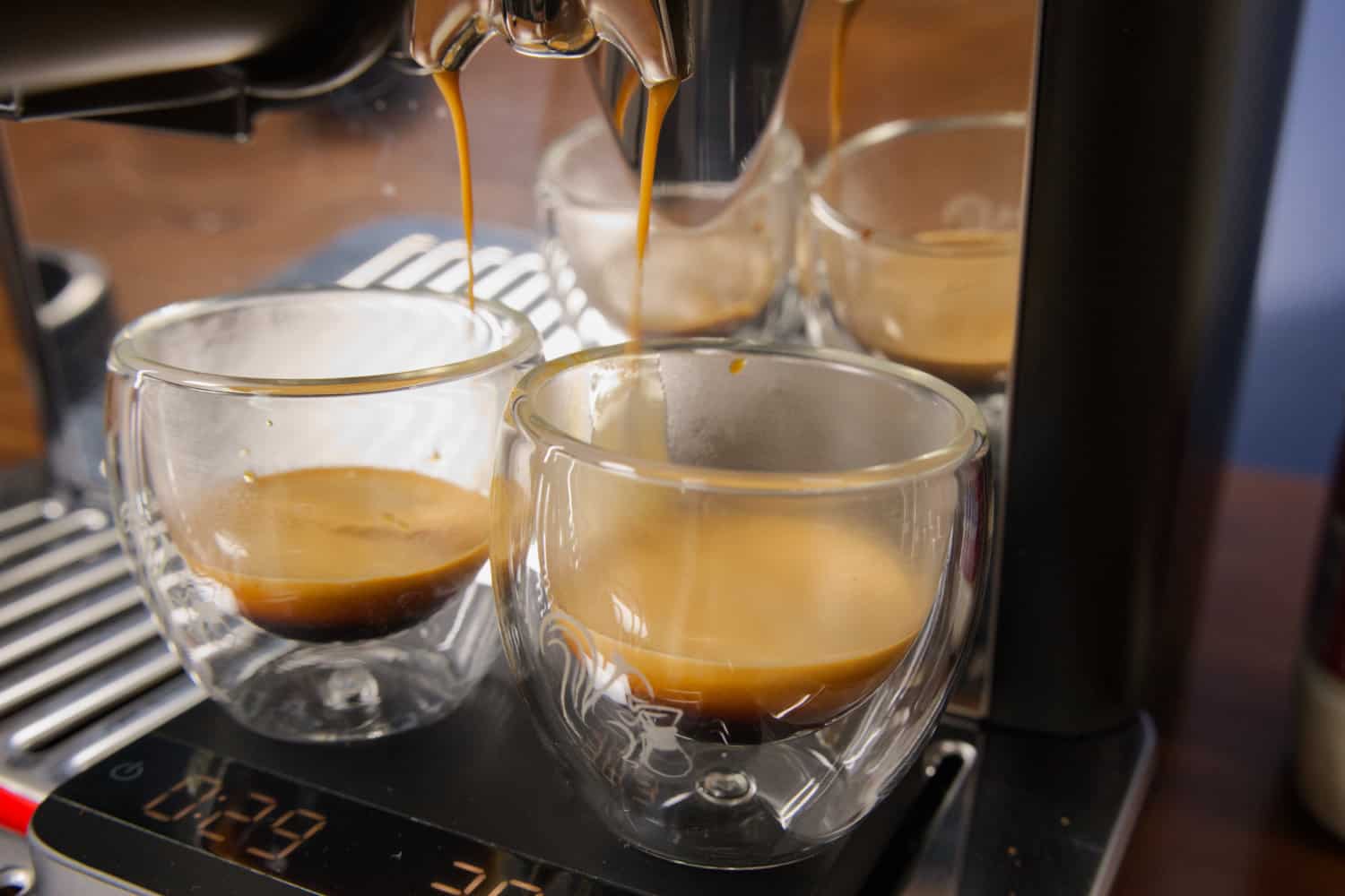 Best espresso cups 2024: a barista's advice