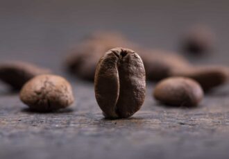 gros plan de grains de café
