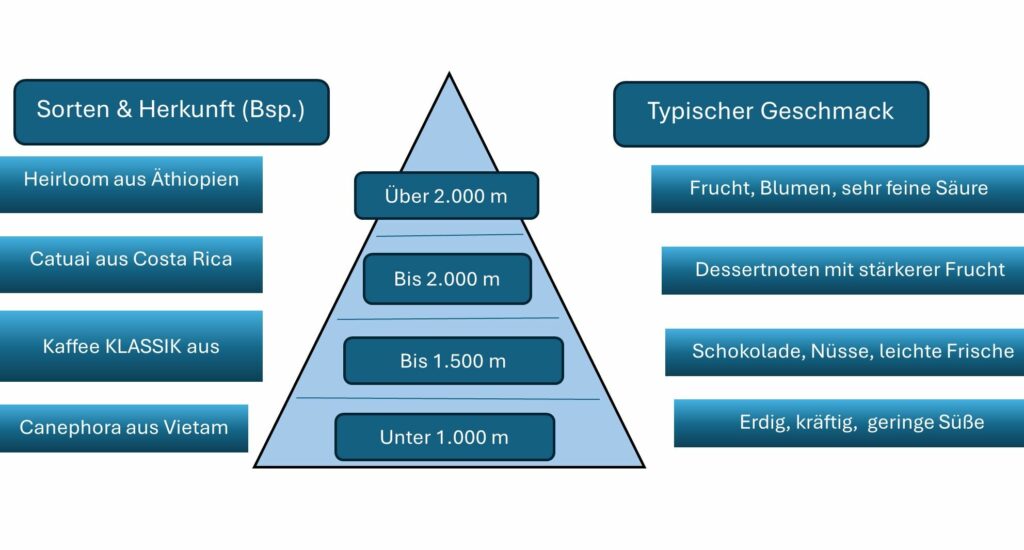 Hochland Kaffee Grafik